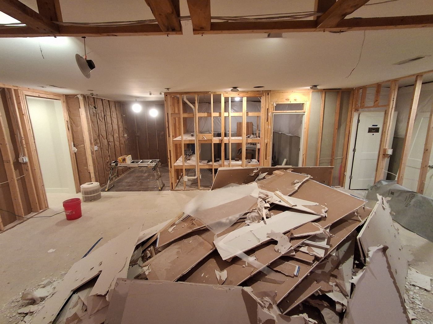 Basement drywall tear-out