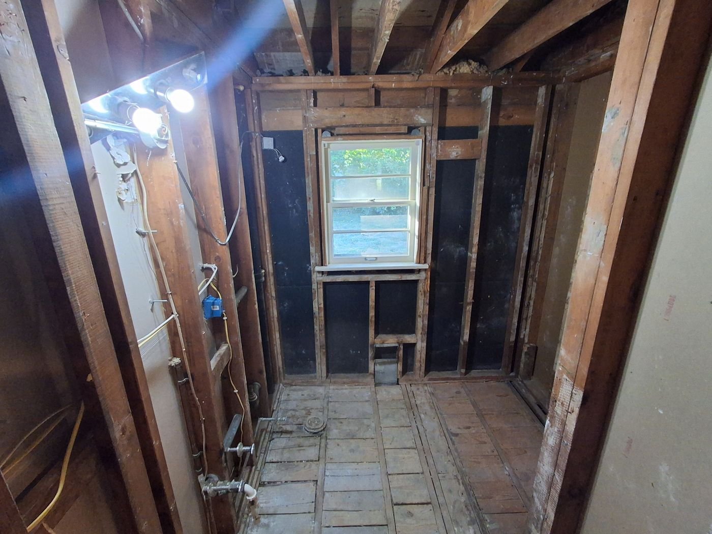 Bathroom demo to studs